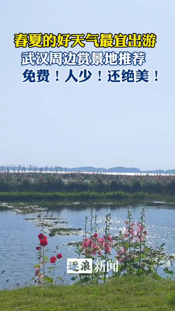 又是出游好时节！免费、人少、绝美的宝藏赏景地就在这里